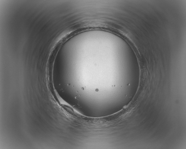 X0000054410979200508121721