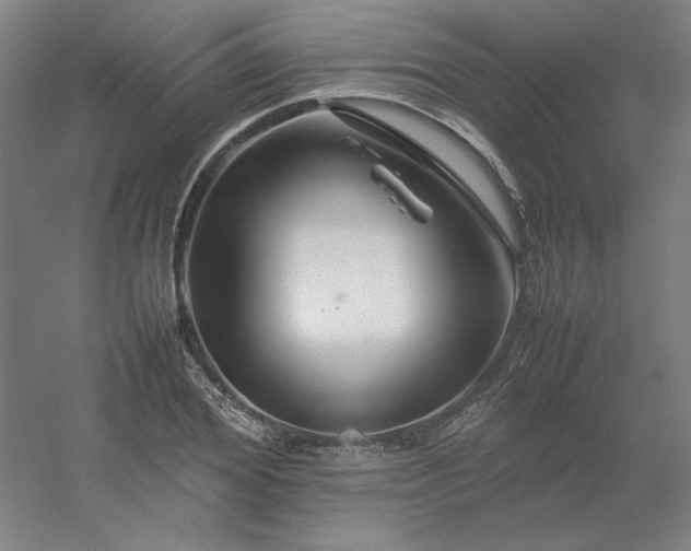 X0000054410980200508121721