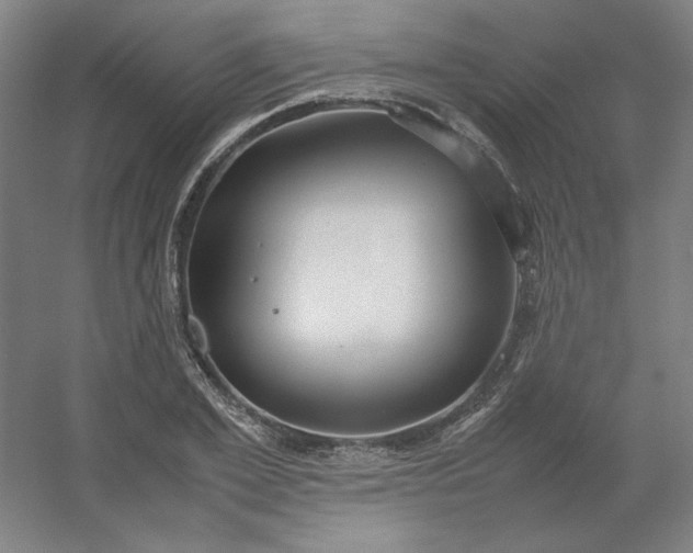 X0000054410981200508121721