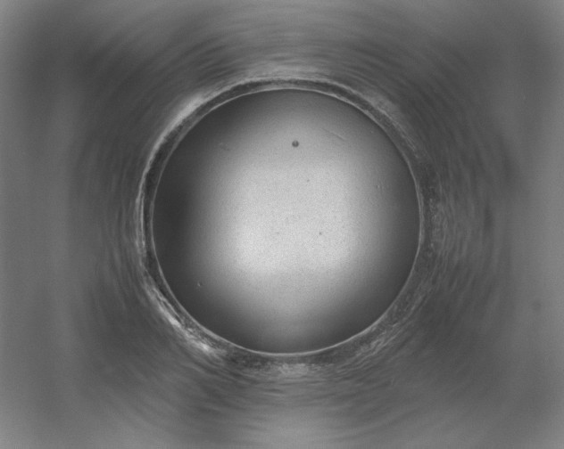 X0000054410982200508121721