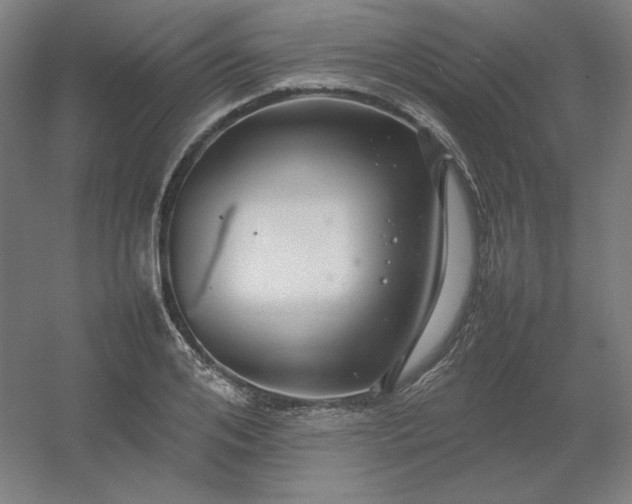 X0000054410984200508121720