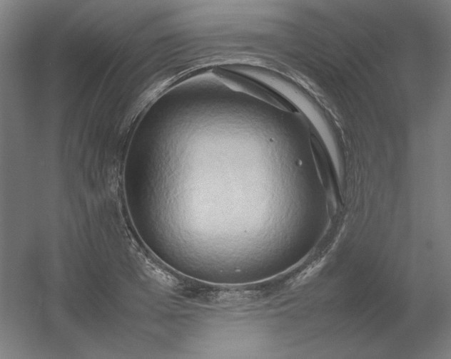 X0000054410985200508121720