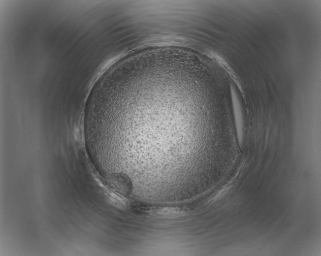 X0000054410986200508121720