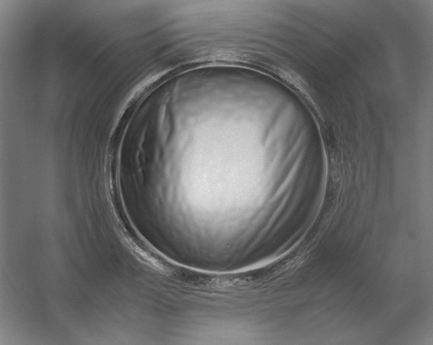 X0000054410987200508121720