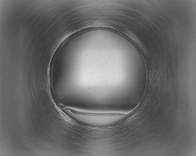 X0000054410988200508121720