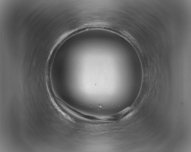 X0000054410989200508121720