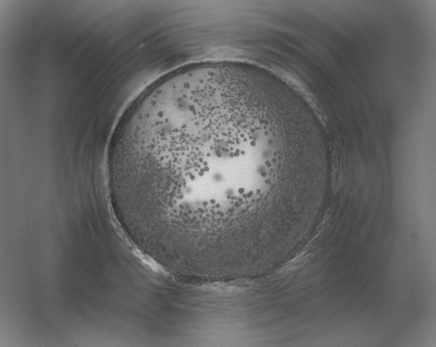 X0000054410990200508121720