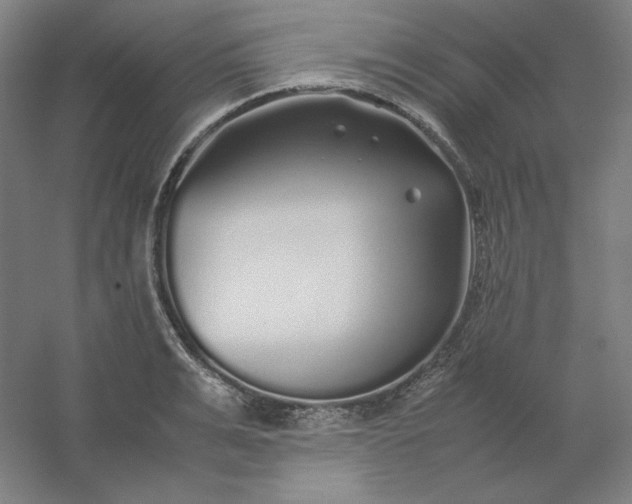 X0000054410991200508121720