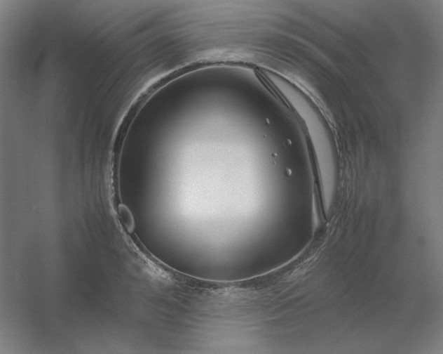 X0000054410992200508121720