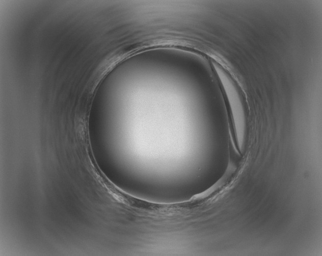 X0000054410993200508121720