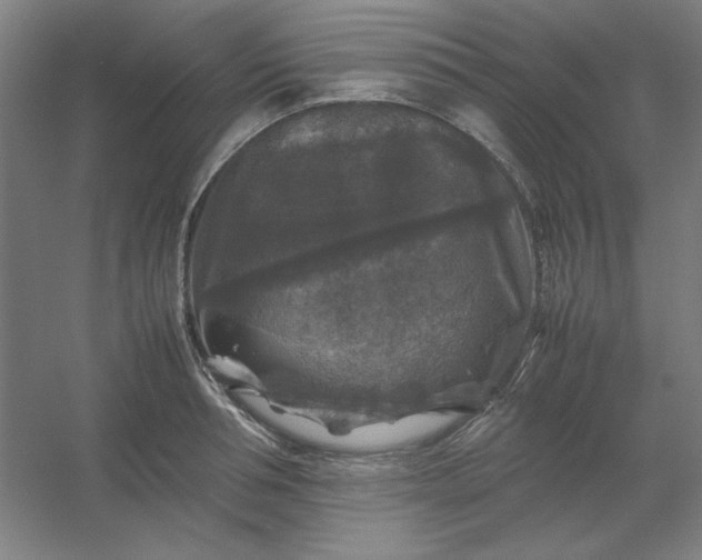 X0000054410994200508121720