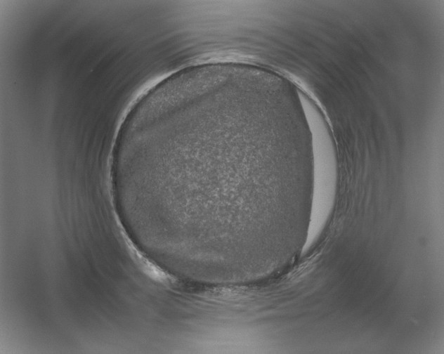 X0000054410995200508121720