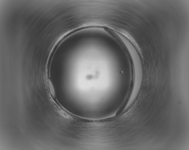 X0000054410996200508121720