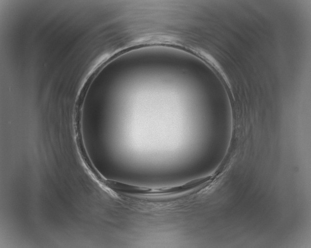 X0000054410997200508121720