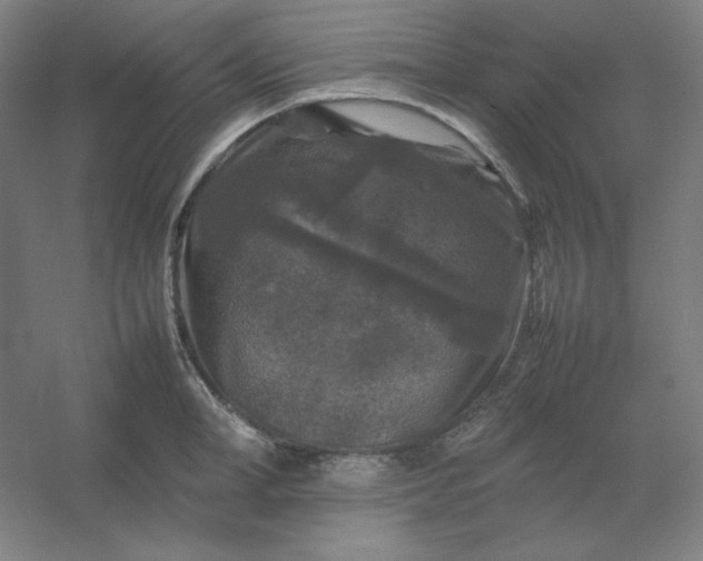 X0000054410998200508121720