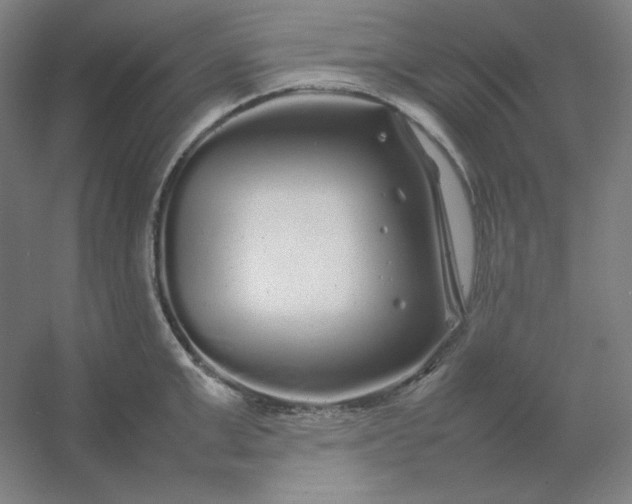 X0000054410999200508121720