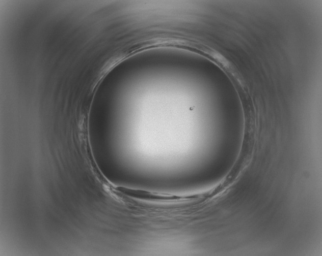 X0000054411001200508121720