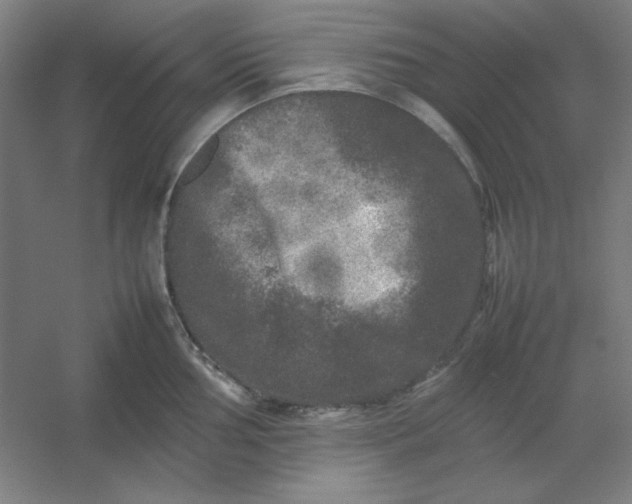 X0000054411002200508121720