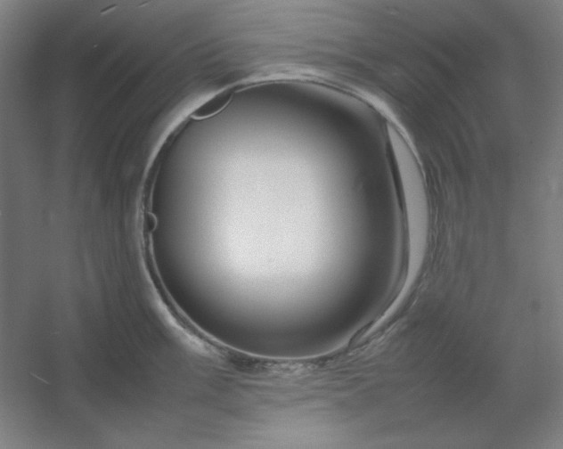 X0000054411003200508121720