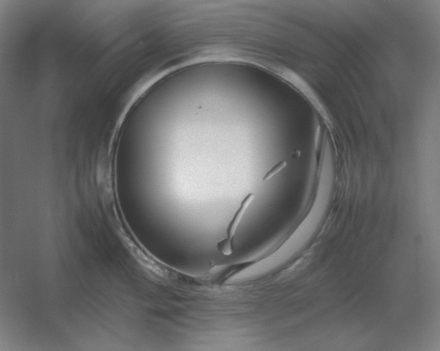 X0000054411004200508121720