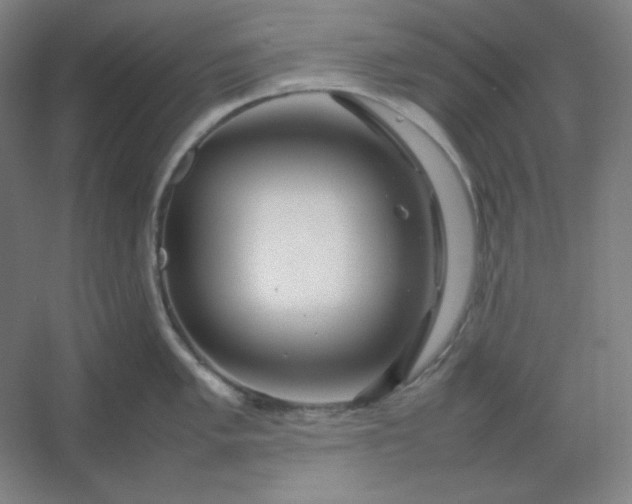 X0000054411005200508121720