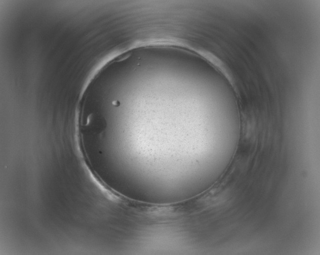 X0000054411006200508121720