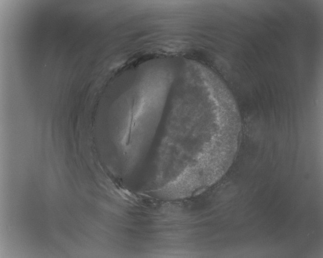 X0000054411009200508121719