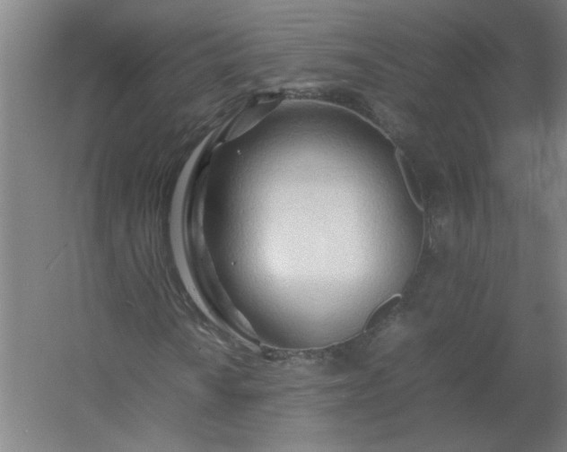 X0000054411010200508121719