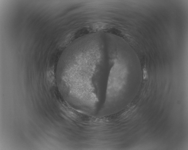 X0000054411011200508121719