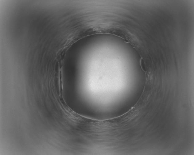 X0000054411012200508121719