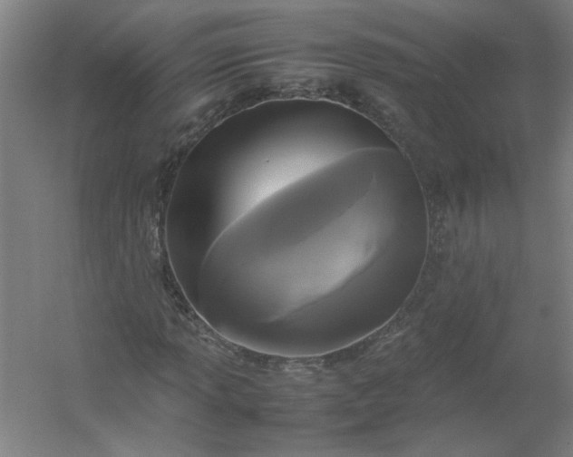 X0000054411013200508121719