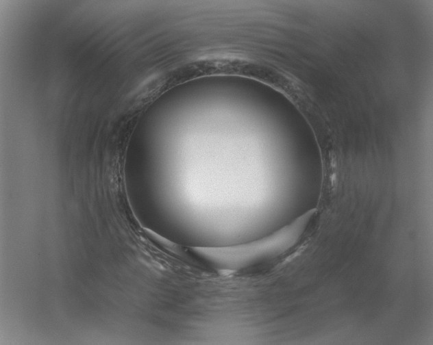 X0000054411014200508121719