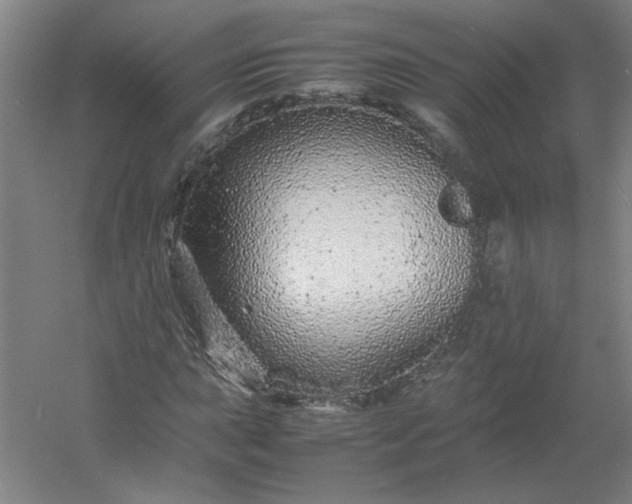 X0000054411015200508121719