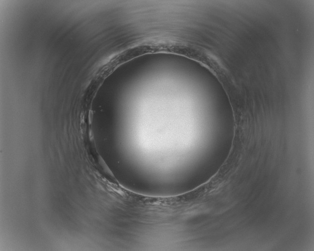 X0000054411016200508121719