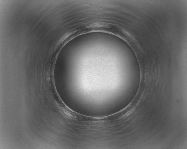 X0000054411017200508121719