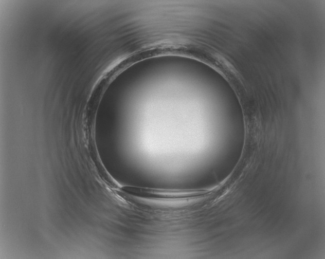 X0000054411018200508121719