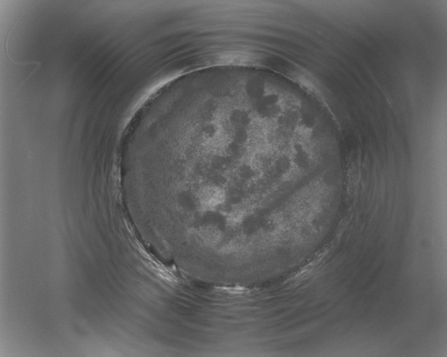 X0000054411019200508121719