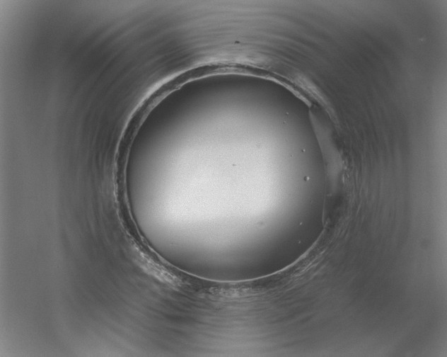 X0000054411020200508121719