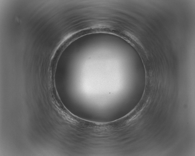 X0000054411021200508121719