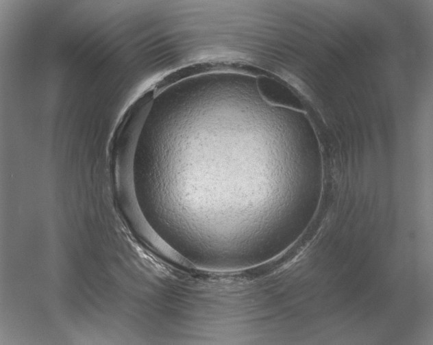 X0000054411022200508121719