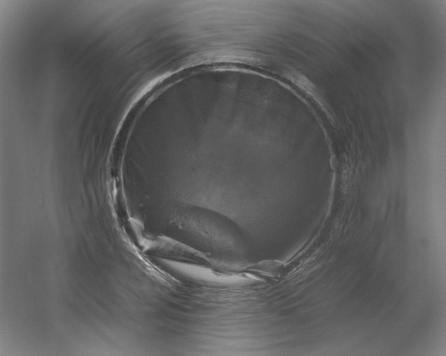 X0000054411024200508121719