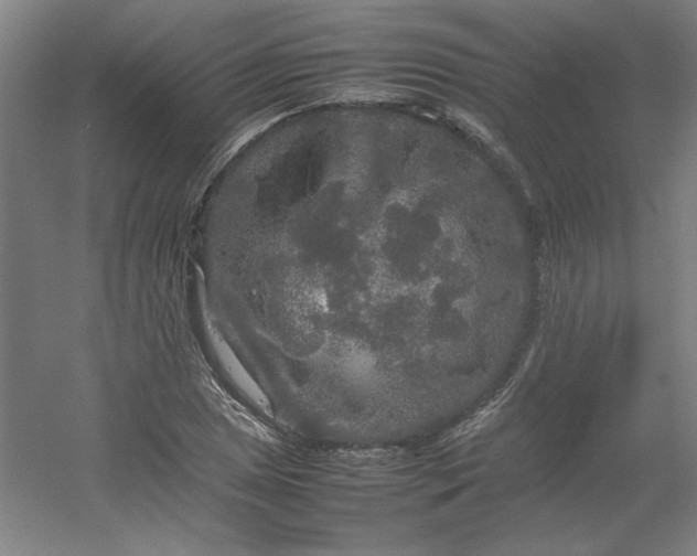 X0000054411025200508121720