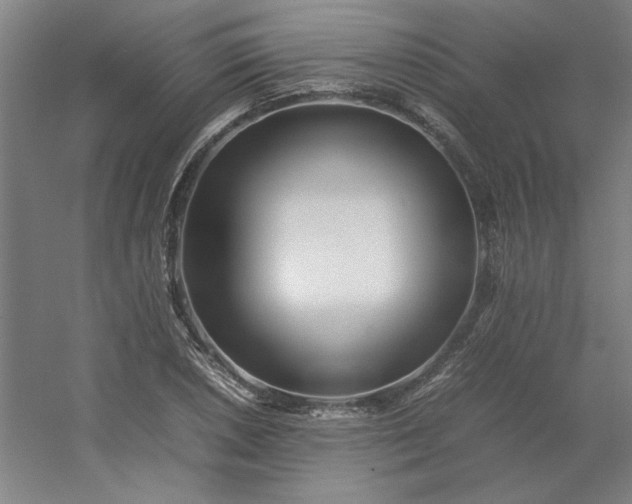 X0000054411026200508121720