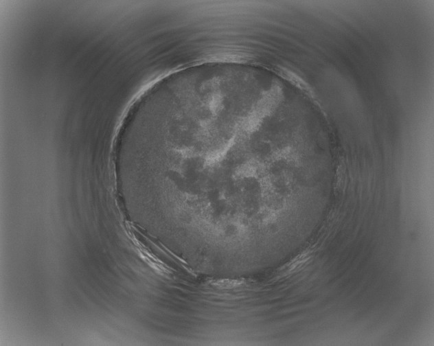 X0000054411027200508121720