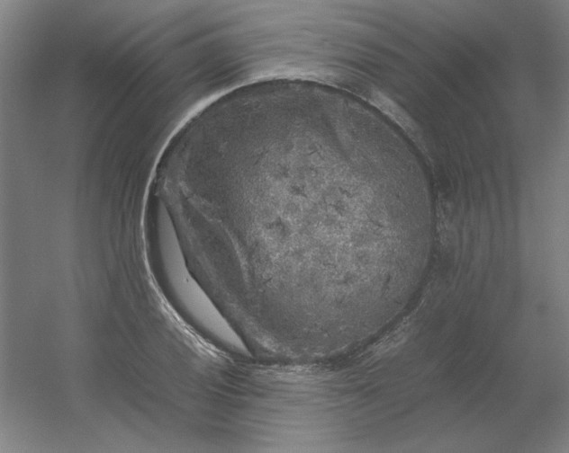 X0000054411028200508121720