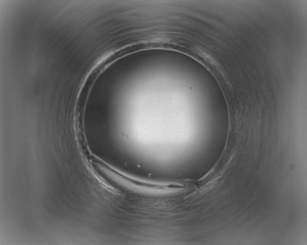 X0000054411029200508121720