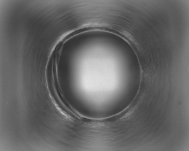 X0000054411030200508121720