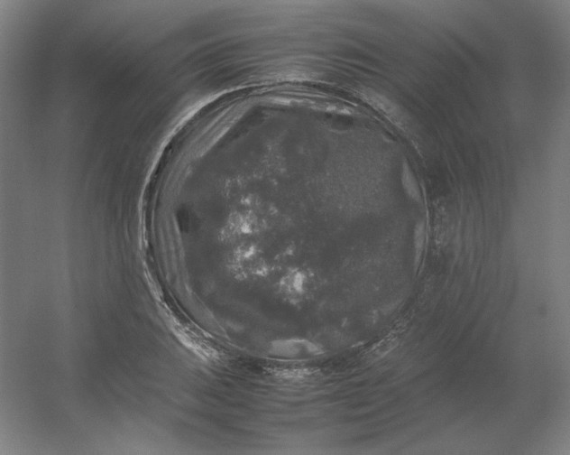 X0000054411031200508121720