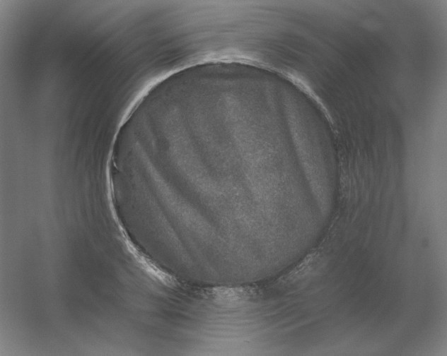 X0000054411032200508121720