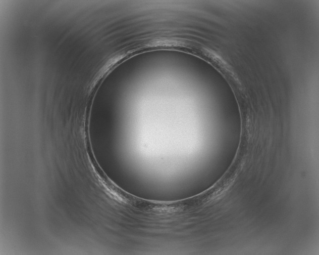 X0000054411033200508121720